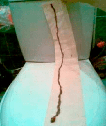 Картинка продукта